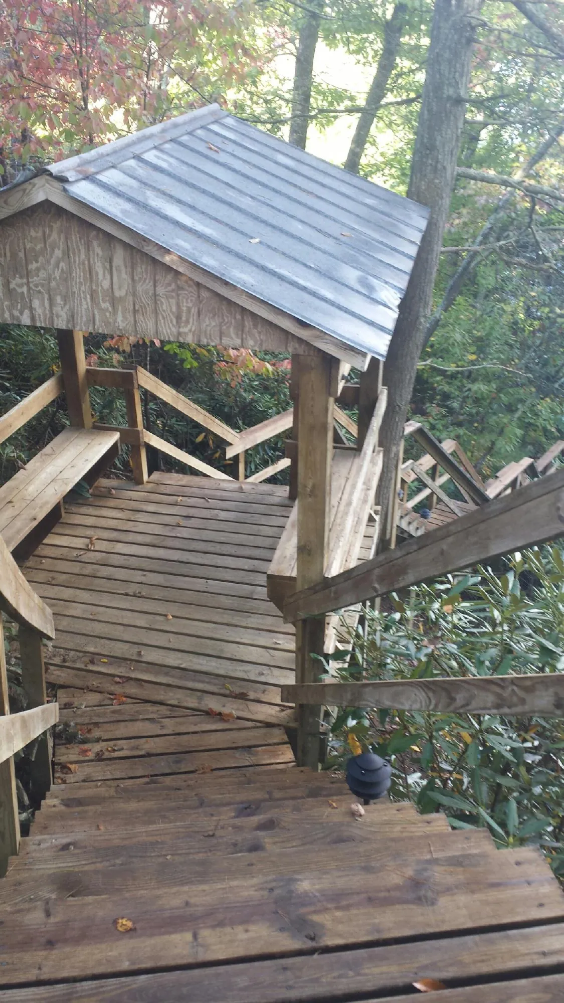 Metal roofed shelter over wooden steps on a wooded walkway — Skylight Repair & Installation work by our crew in Woody Creek